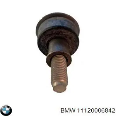 Болт клапанной крышки ГБЦ BMW 11120006842 цена, от 408.63 USD