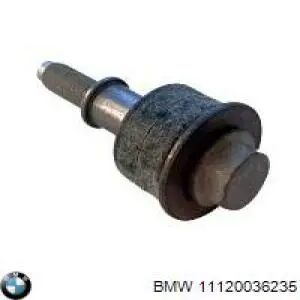 Болт клапанной крышки ГБЦ BMW 11120036235 цена, от 407.91 USD