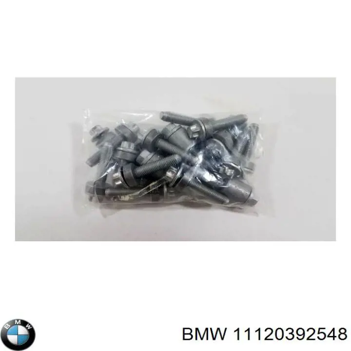 Болт головки блока цилиндров, ГБЦ BMW 11120392548 цена, от 41.27 USD
