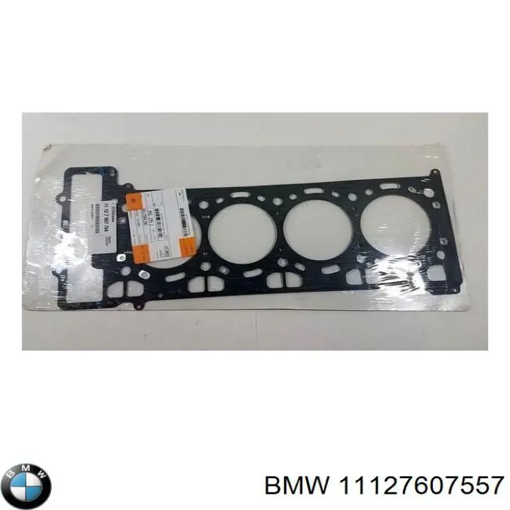 11127607557 BMW parafuso de cabeça de motor (cbc)