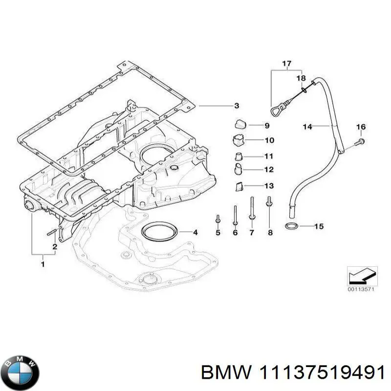  11137519491 BMW