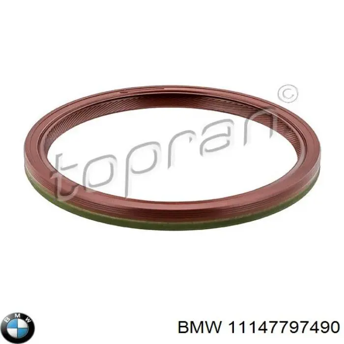 Сальник коленвала задний 11147797490 BMW