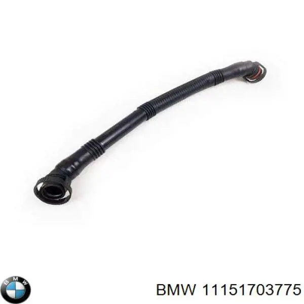 Manguera Tuberia De Radiador (gases de escape) 11151703775 BMW