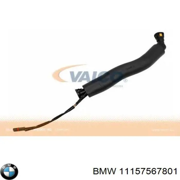 11157567801 BMW