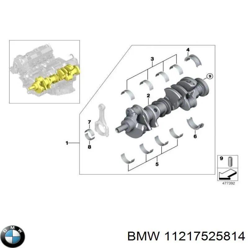  11217525814 BMW