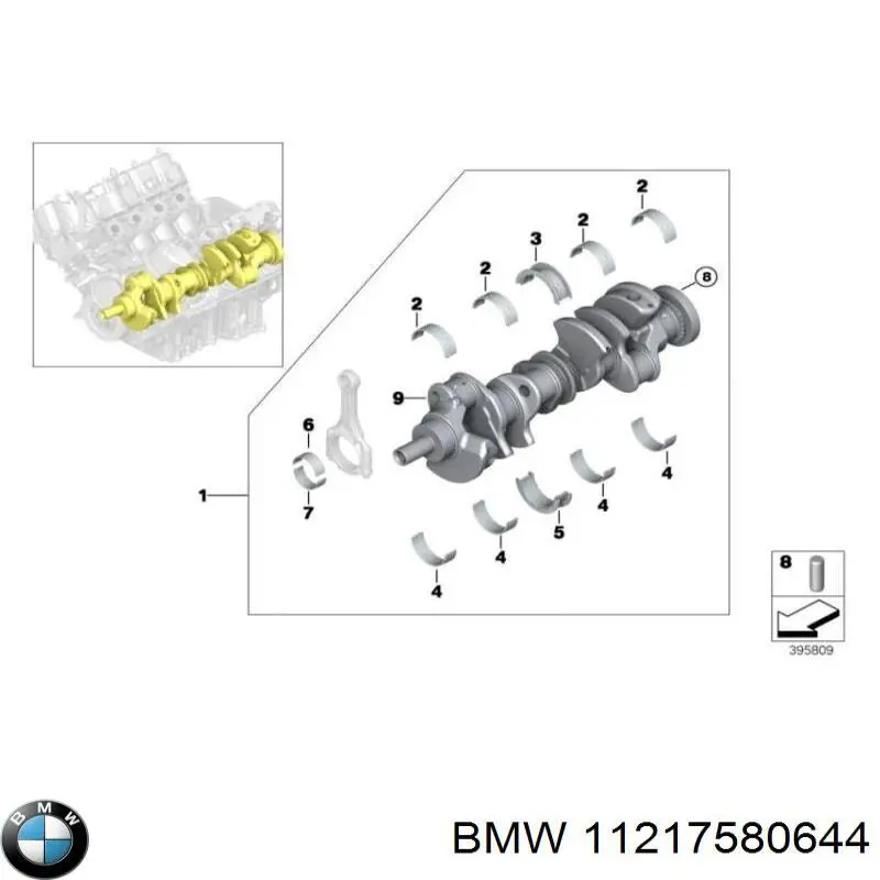 11217580644 BMW folhas inseridas principais de cambota, kit, 1ª reparação ( + 0,25)