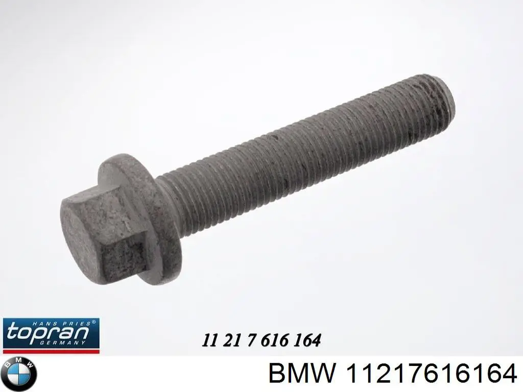 11217616164 BMW parafuso de cabeça de motor (cbc)