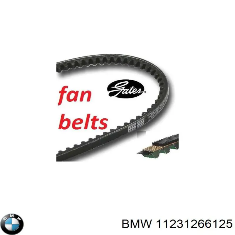 Купить 11231266125 BMW Ремень генератора