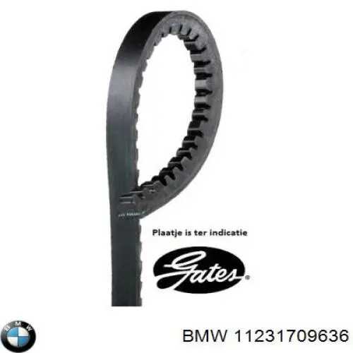 Купить 11231709636 BMW Ремень генератора