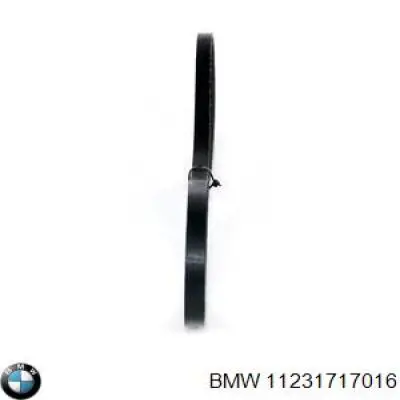 Ремень генератора 11231717016 BMW