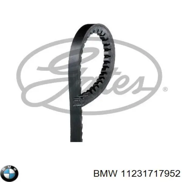 Клиновый ремень BMW 11231717952 цена, от 4.09 USD