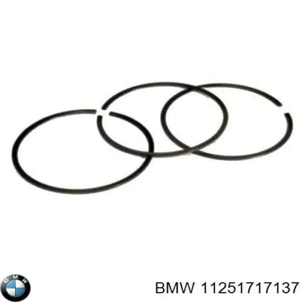 Купить 11251717137 BMW Поршень на 1 цилиндр