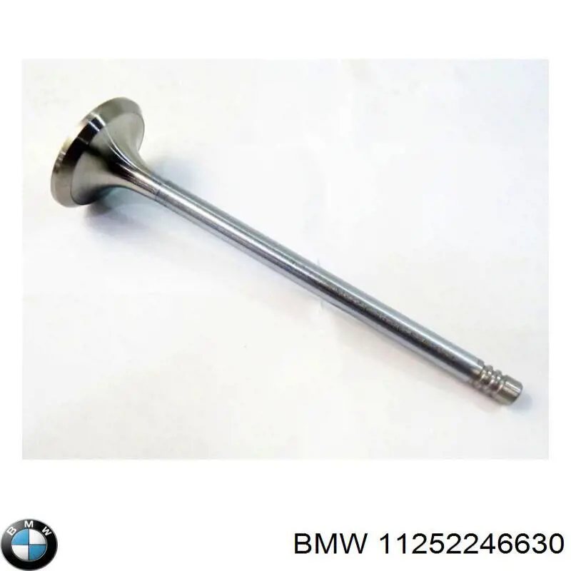  11252246630 BMW