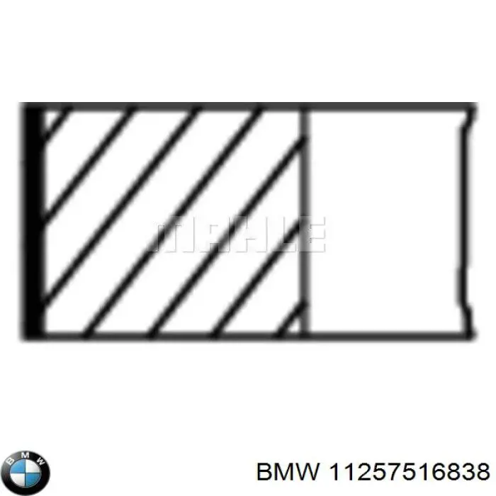 11257516838 BMW anéis do pistão para 1 cilindro, std.