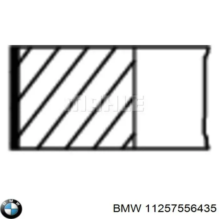 Купить 11257556435 BMW Комплект поршневых колец на 1 цилиндр, стандарт