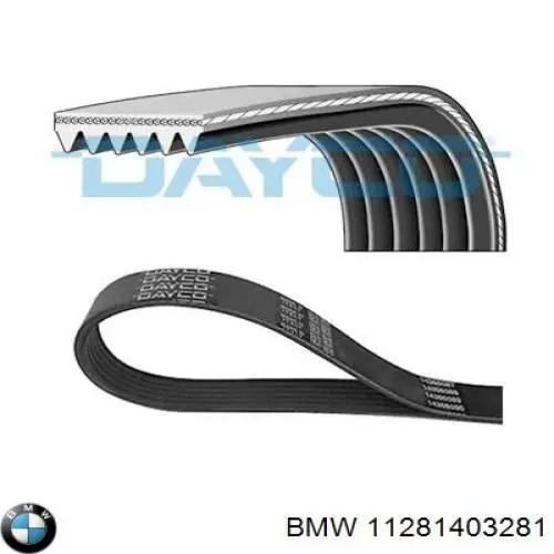 11281403281 BMW Поликлиновый ремень
