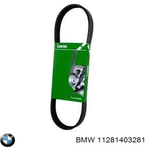 Купить 11281403281 BMW Ремень генератора
