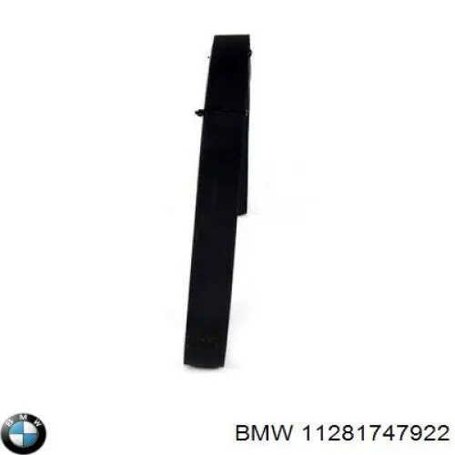 11281747922 BMW Поликлиновый ремень