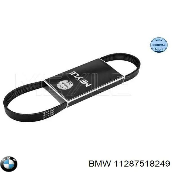 Купить 11287518249 BMW Ремень генератора