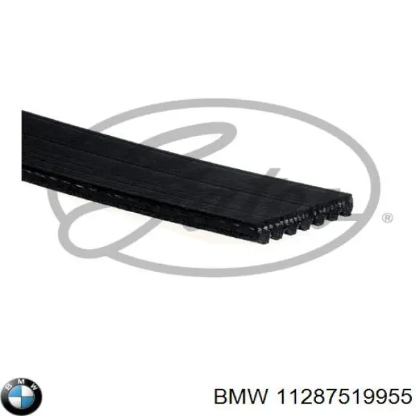 Купить 11287519955 BMW Ремень генератора