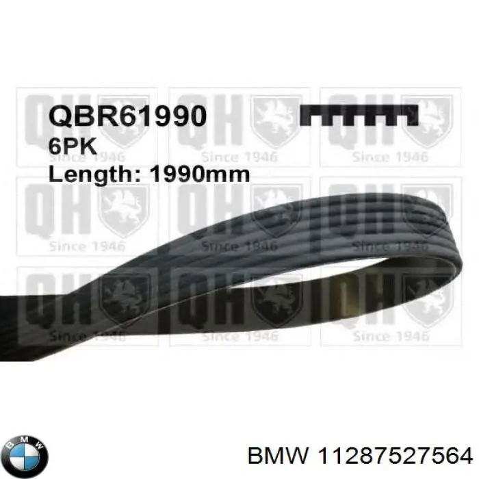 11287527564 BMW Поликлиновый ремень