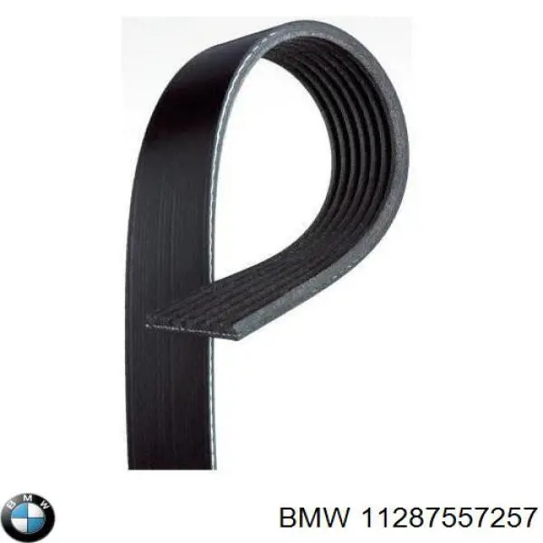 Купить 11287557257 BMW Ремень генератора