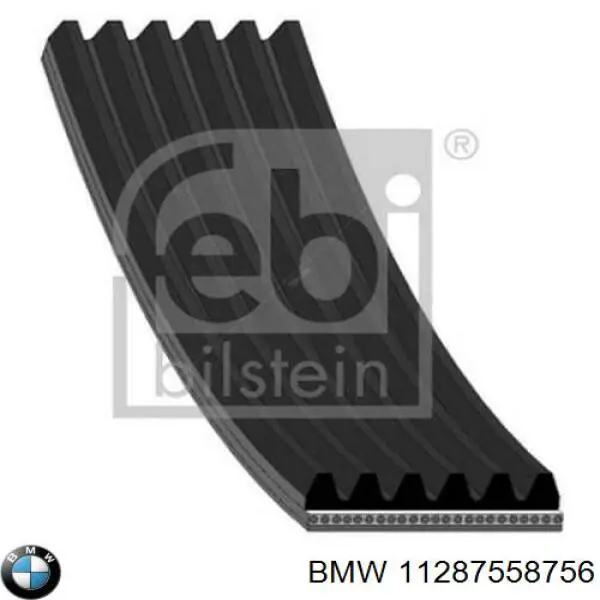 11287558756 BMW ремень генератора