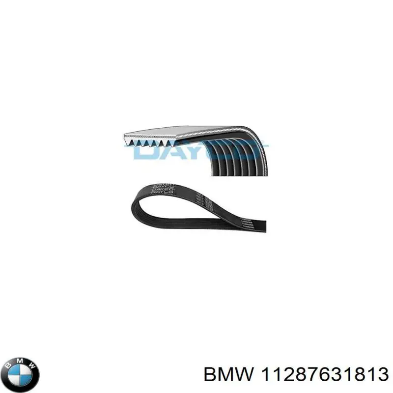 11287631813 BMW correia dos conjuntos de transmissão