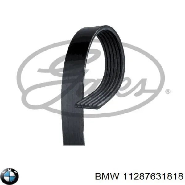 11287631818 BMW Поликлиновый ремень