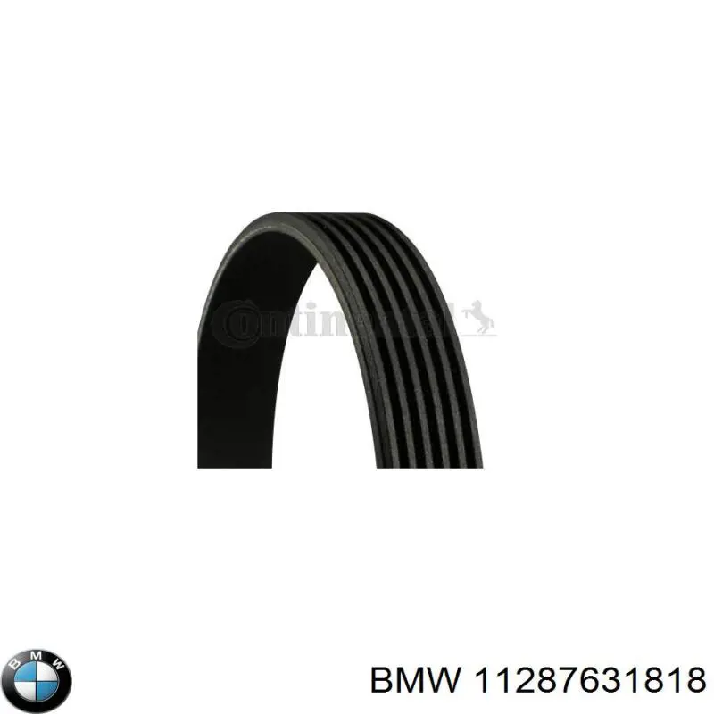 Купить 11287631818 BMW Ремень генератора