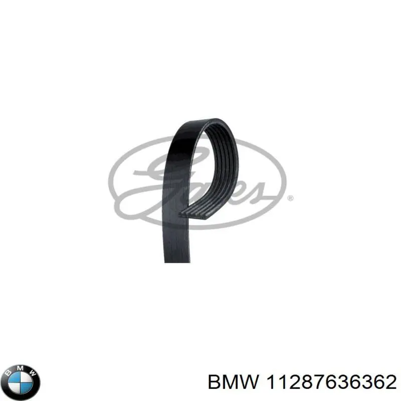 Ремень генератора 11287636362 BMW