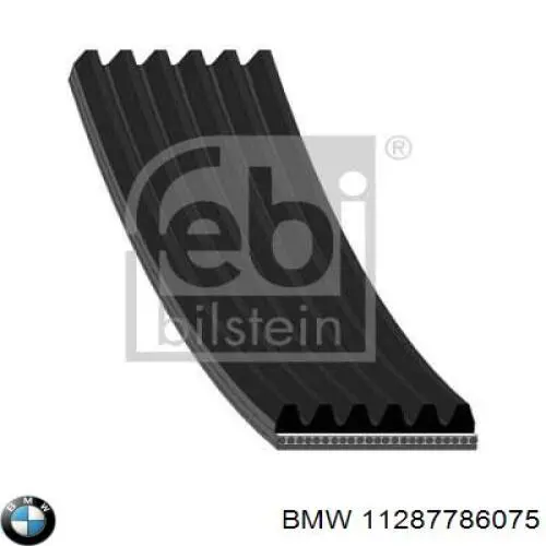 11287786075 BMW Поликлиновый ремень