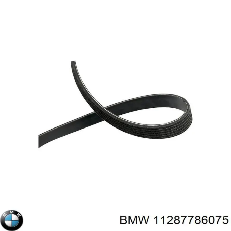 Купить 11287786075 BMW Ремень генератора