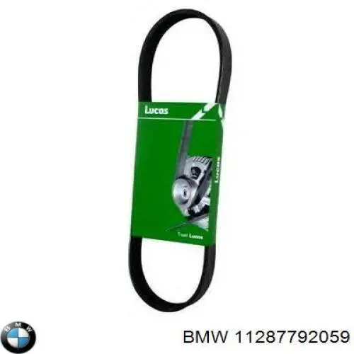 Купить 11287792059 BMW Ремень генератора