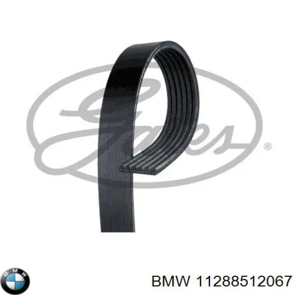Клиновый ремень BMW 11288512067 цена, от 19.00 USD