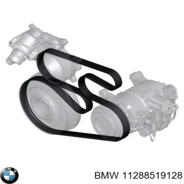 Correa trapezoidal 11288519128 BMW