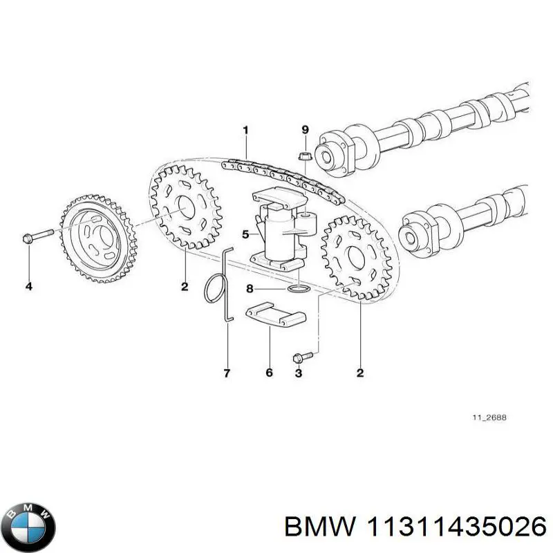 Tensor de cadena de distribución, árbol de levas, derecho 11311435026 BMW