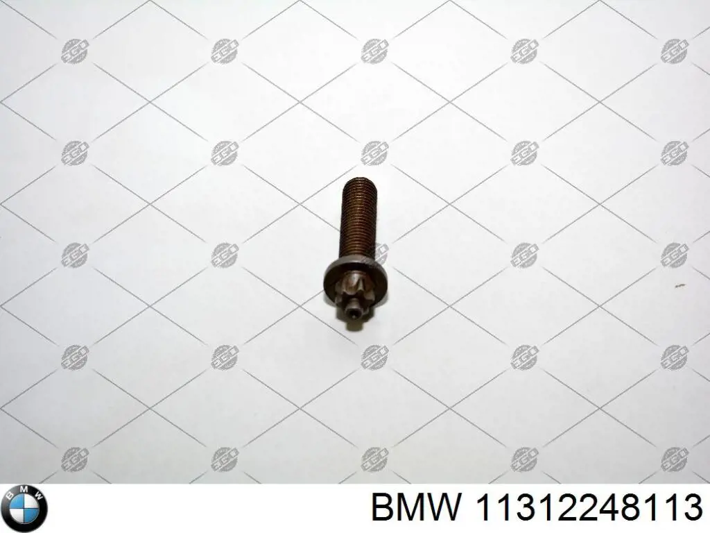Купить 11312248113 BMW Болт шестерни распредвала
