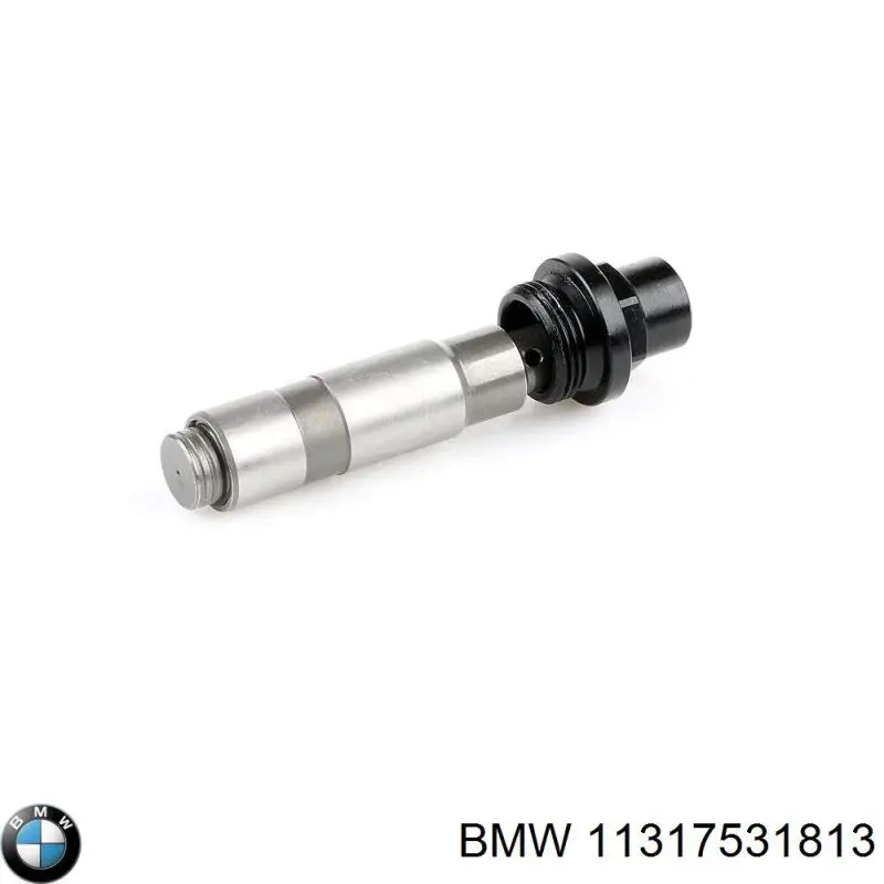 Натяжитель цепи ГРМ BMW 11317531813 цена, от 214.05 USD