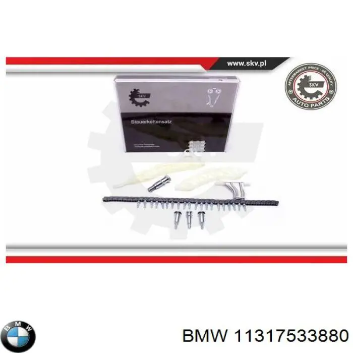 11317533880 BMW amortecedor de cadeia do mecanismo de distribuição de gás, esquerdo