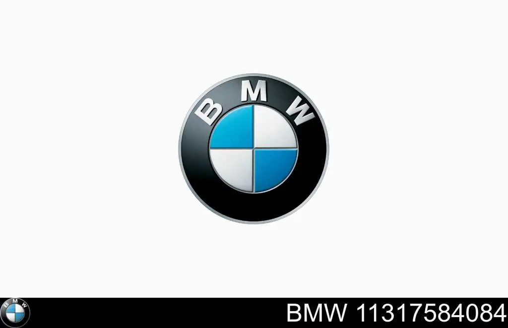Цепь ГРМ BMW 11317584084