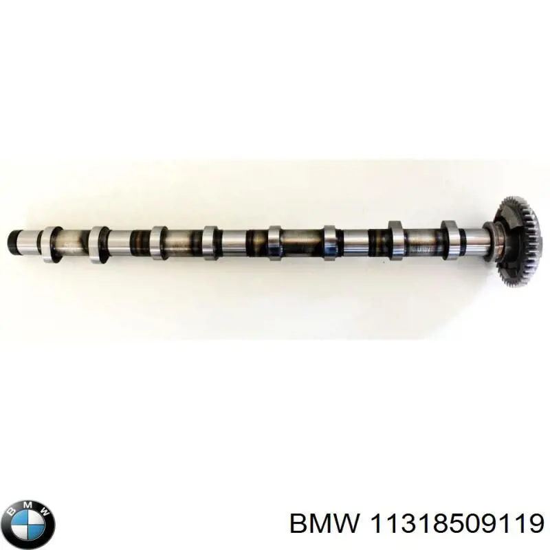 Распредвал двигателя выпускной BMW 11318509119 цена, от 145.20 USD