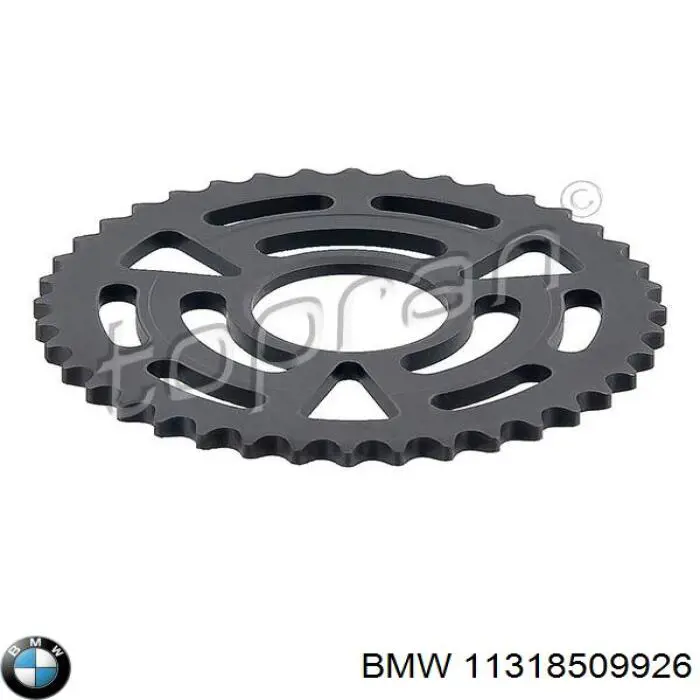 Piñón cadena distribución 11318509926 BMW