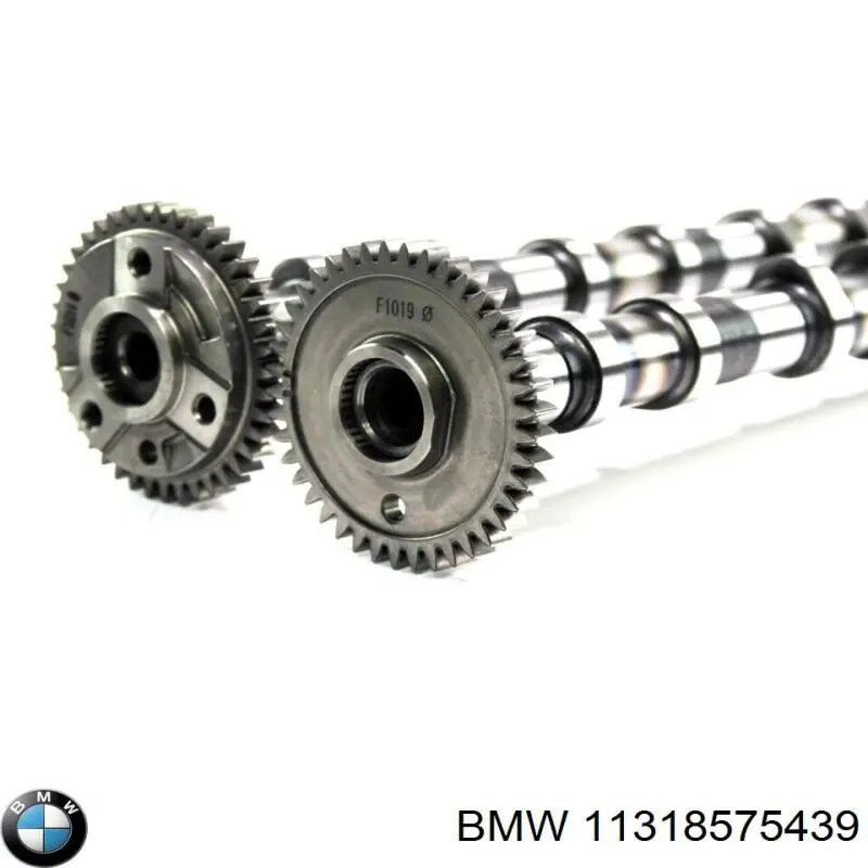 11318575439 BMW 