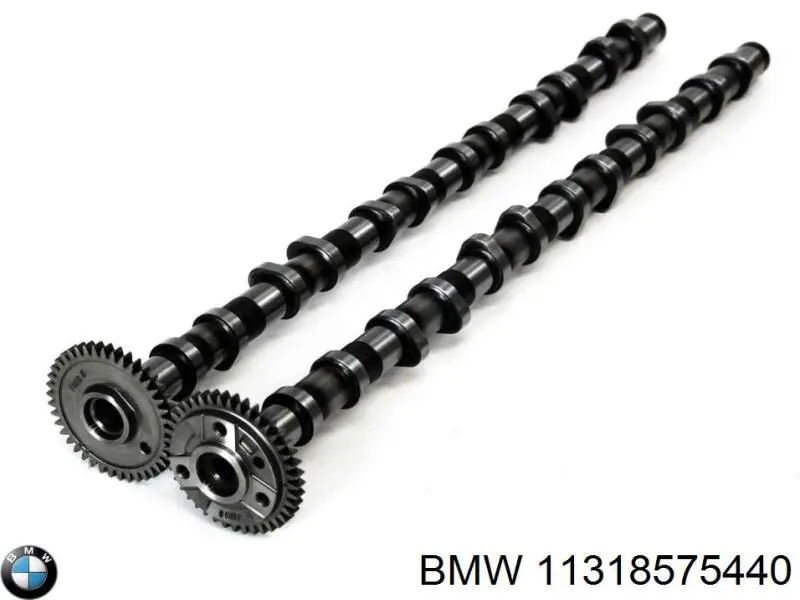 Распредвал двигателя выпускной BMW 11318575440 цена, от 163.57 USD