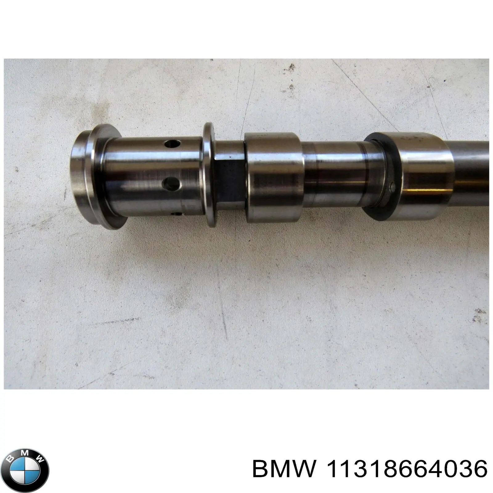 11318669208 BMW árvore distribuidora de motor de admissão