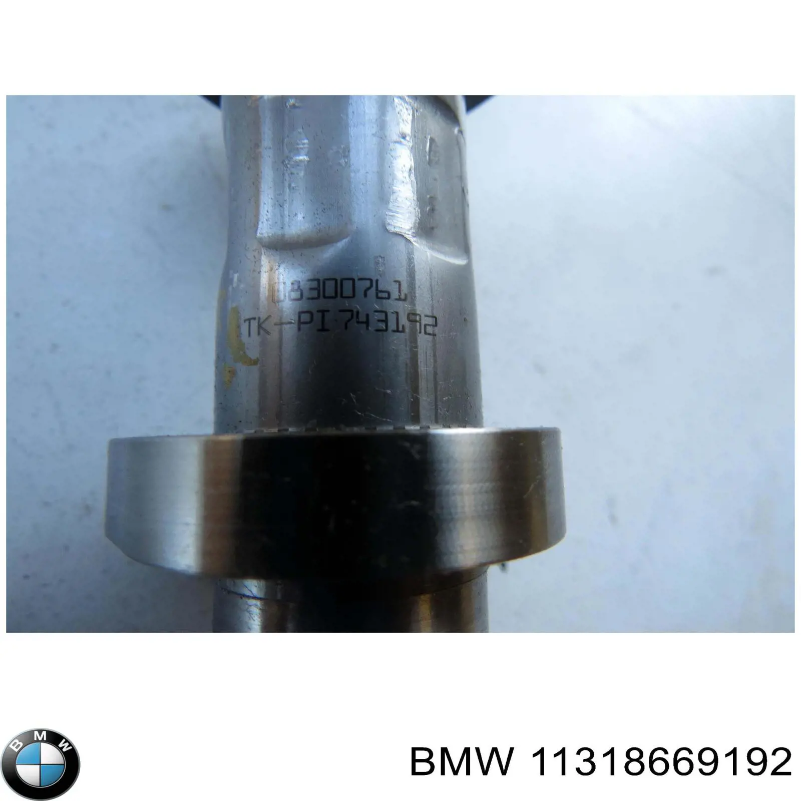 11318669192 BMW 