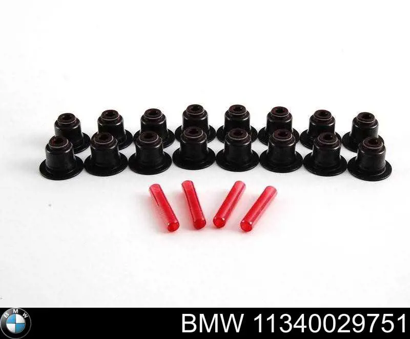 11340029751 BMW сальник клапана (маслосъемный, впуск/выпуск, комплект на мотор)