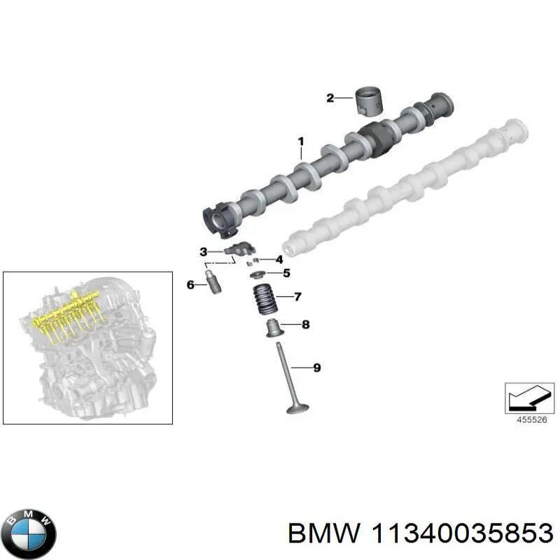Сальник клапана (маслосъёмный) выпускного, комплект BMW 11340035853