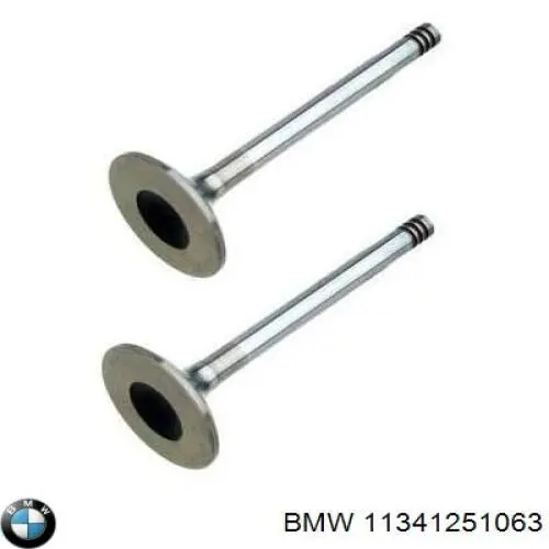 Выпускной клапан двигателя BMW 11341251063 цена, от 26.61 USD